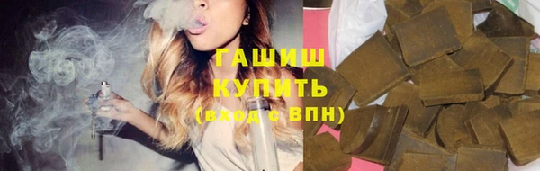 крисы Алзамай