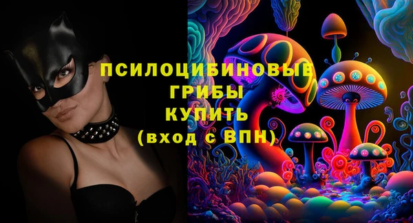 крисы Алзамай