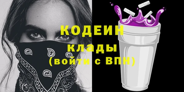 индика Горно-Алтайск