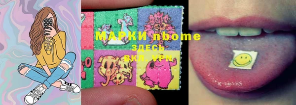 хмурый Липки